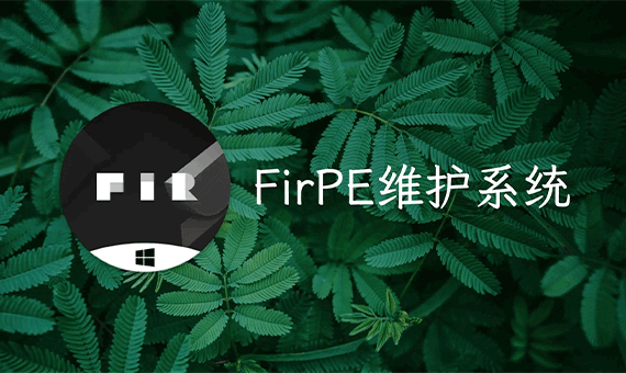 【FirPE】电脑维护工具箱